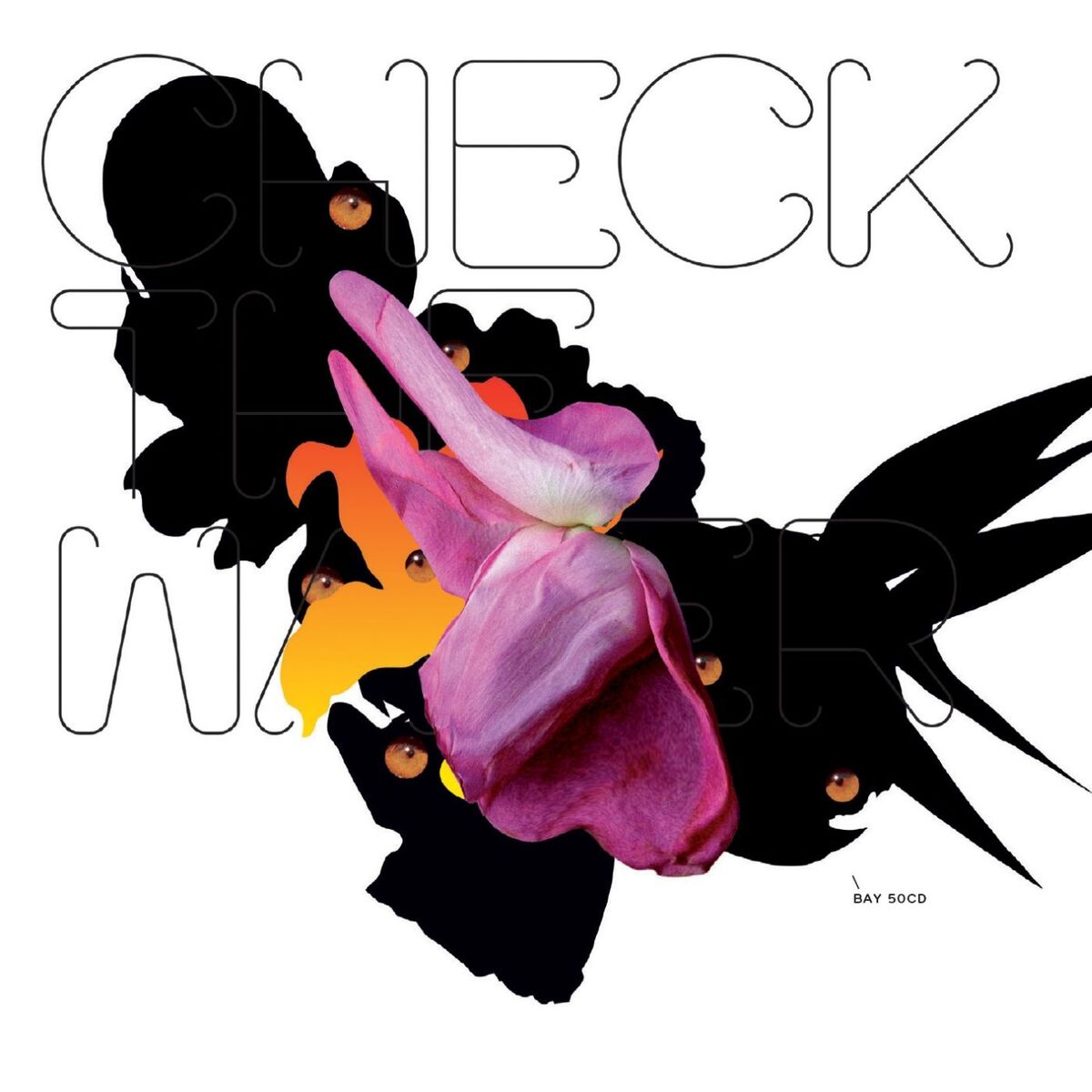 Album cover of Check the Water