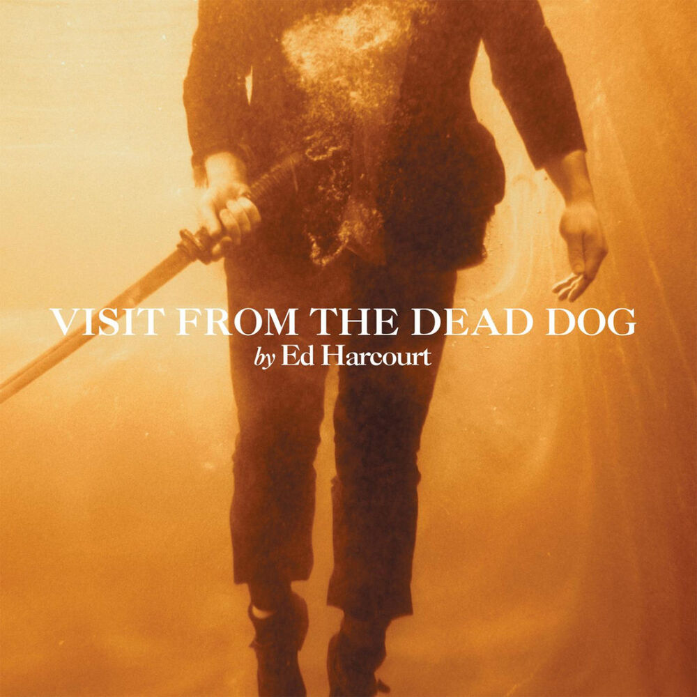 Picture of Visit From The Dead Dog