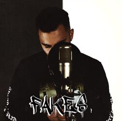 Cover of Fakes