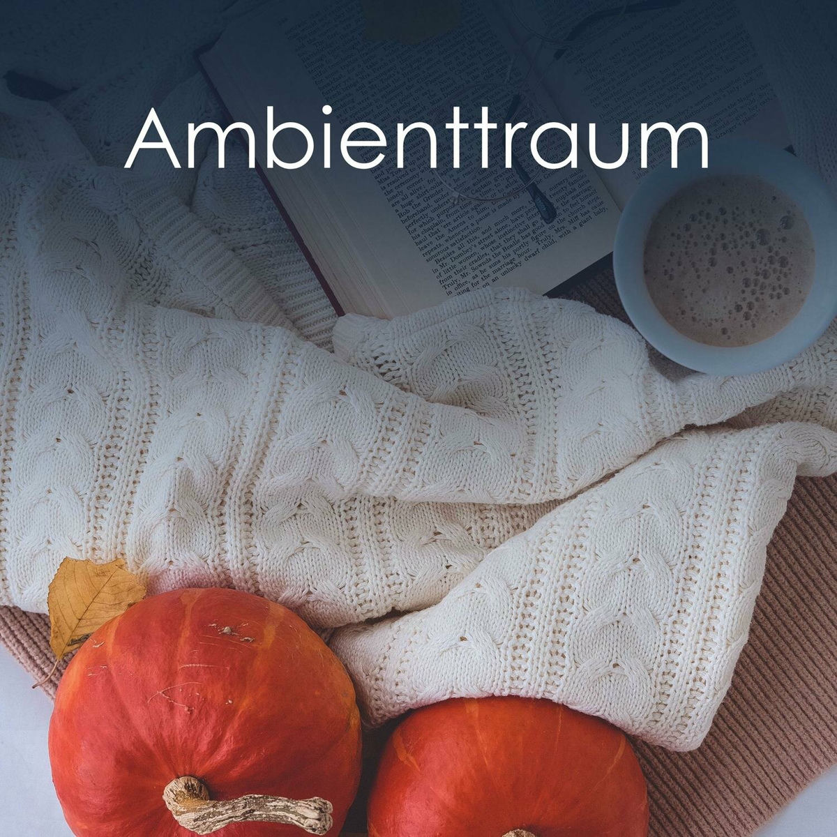 Album cover of Ambienttraum