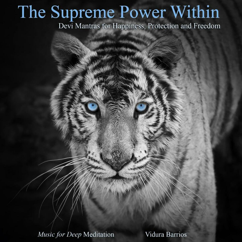 Picture of The Supreme Power Within - Devi Mantras for Happiness, Protection and Freedom
