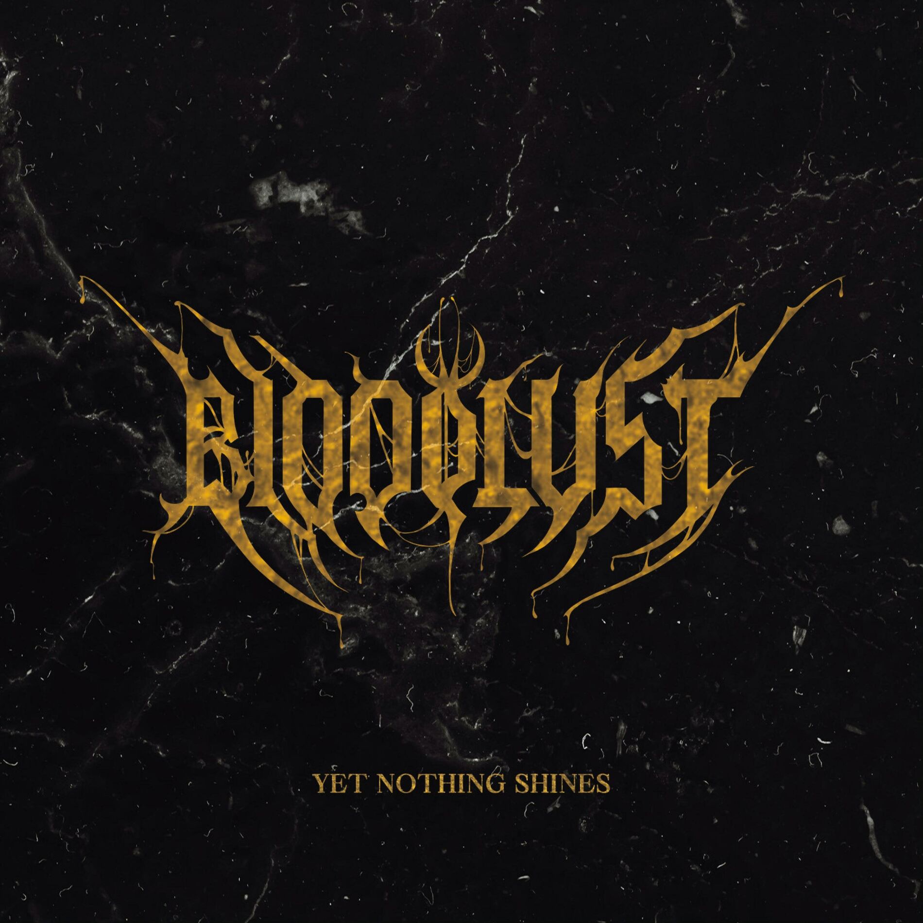 Album cover of Yet Nothing Shines