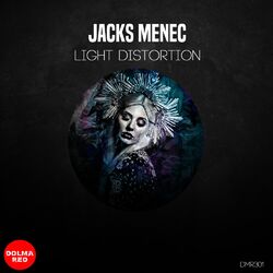 Cover of Light Distortion