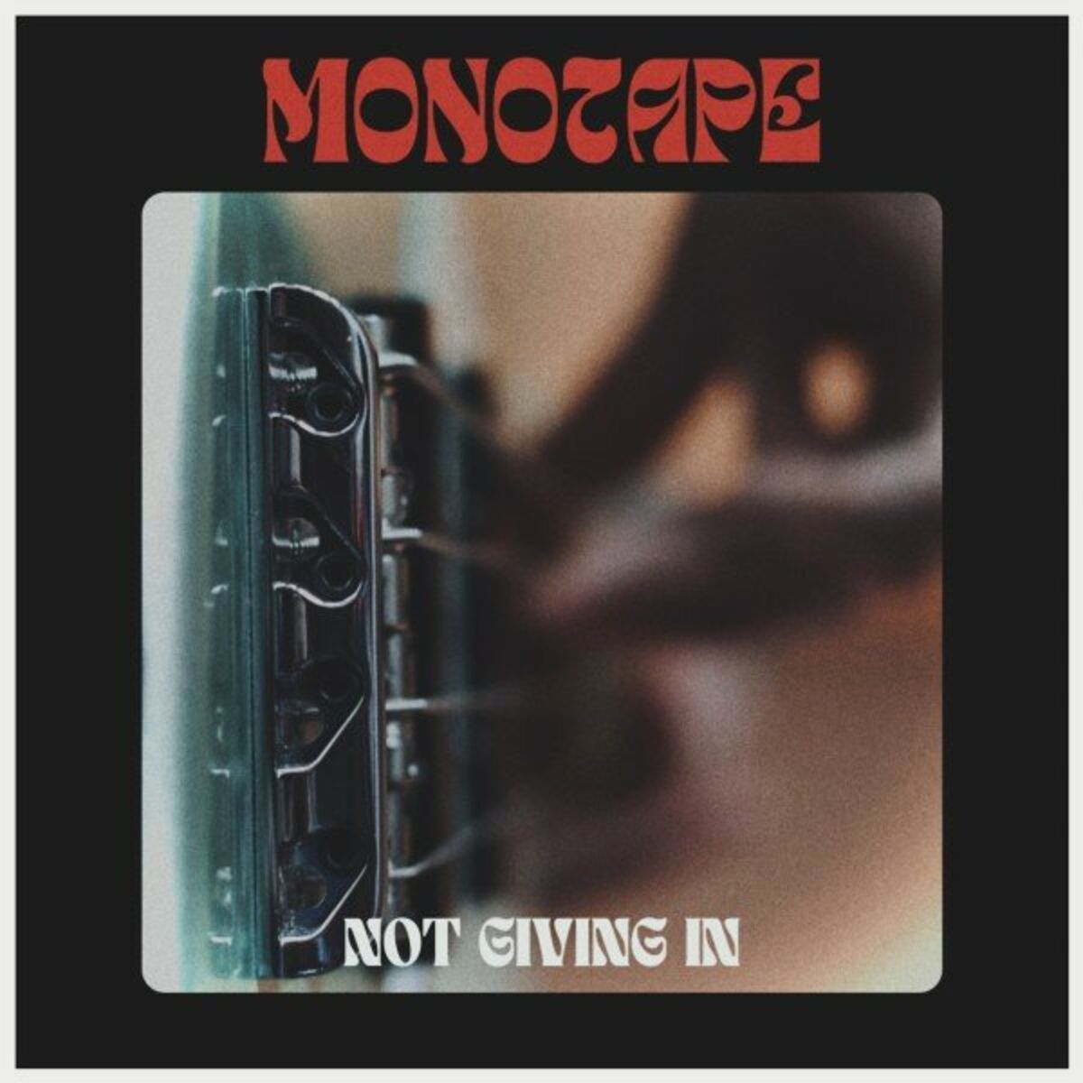Album cover of Not Giving In