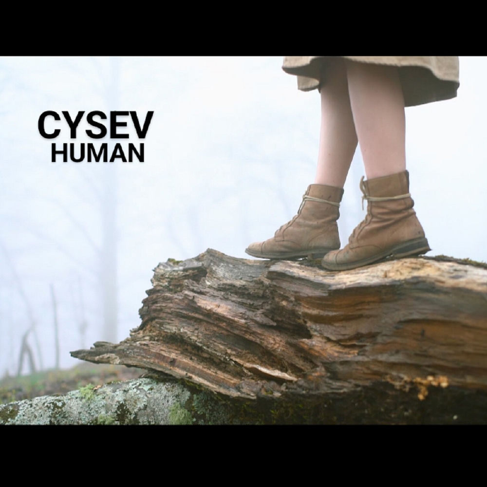 Pochette du titre HUMAN
