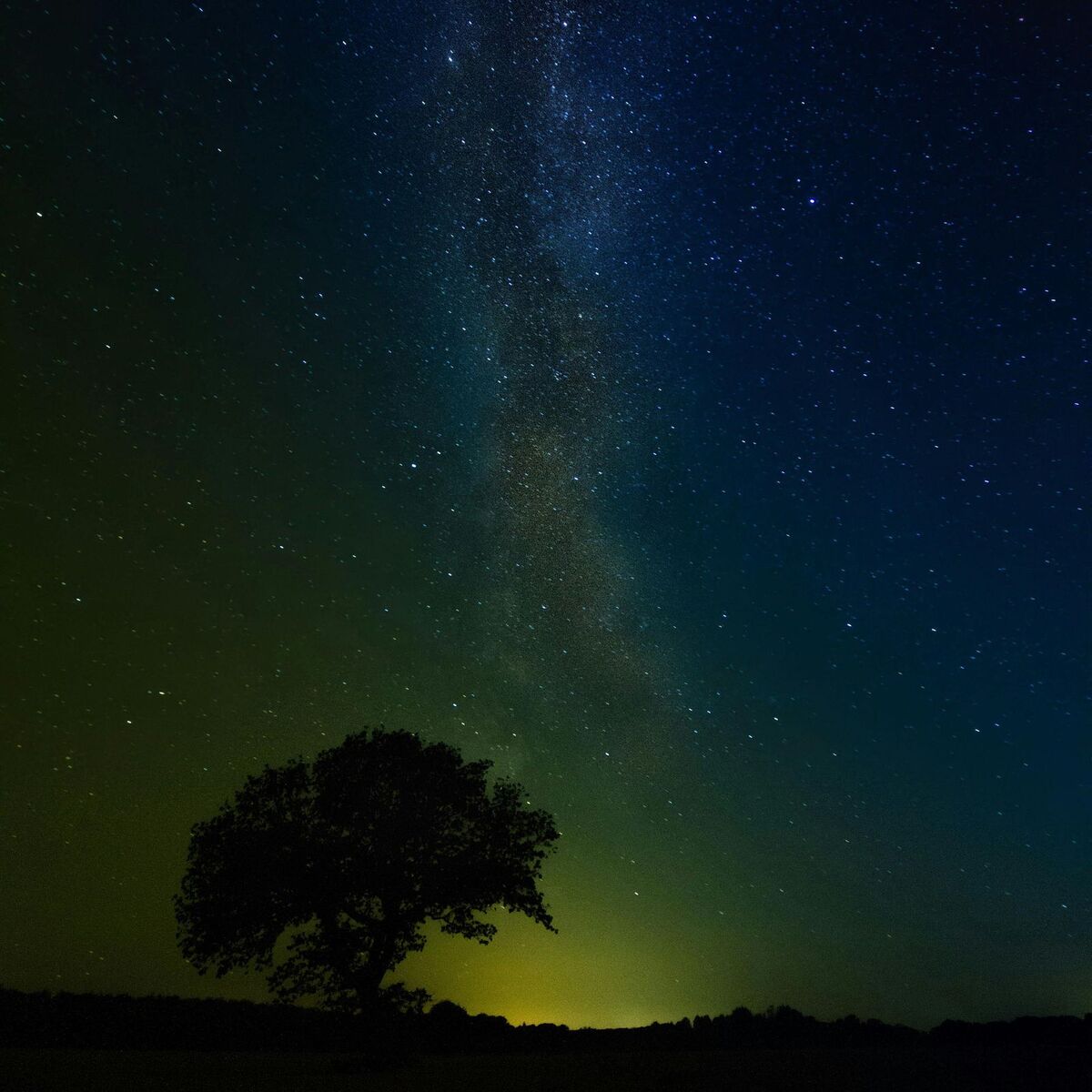 Album cover of Morning Haze