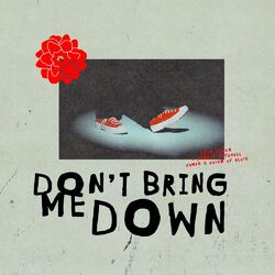 Cover of Don't Bring Me Down