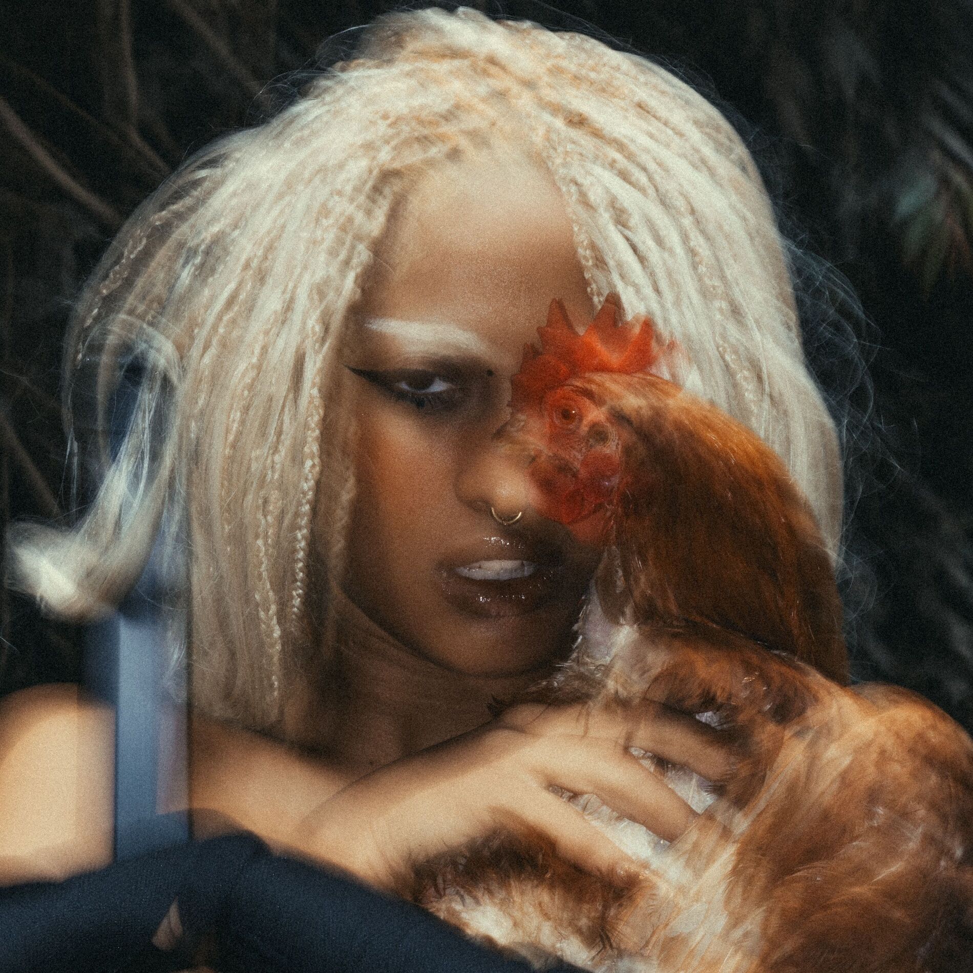 Album cover of Maliciosa