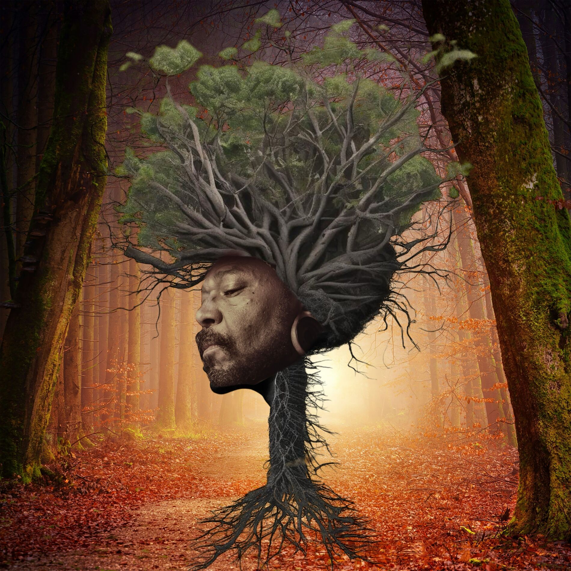 Album cover of Inner Garden