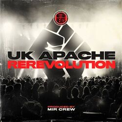 Cover of ReRevolution