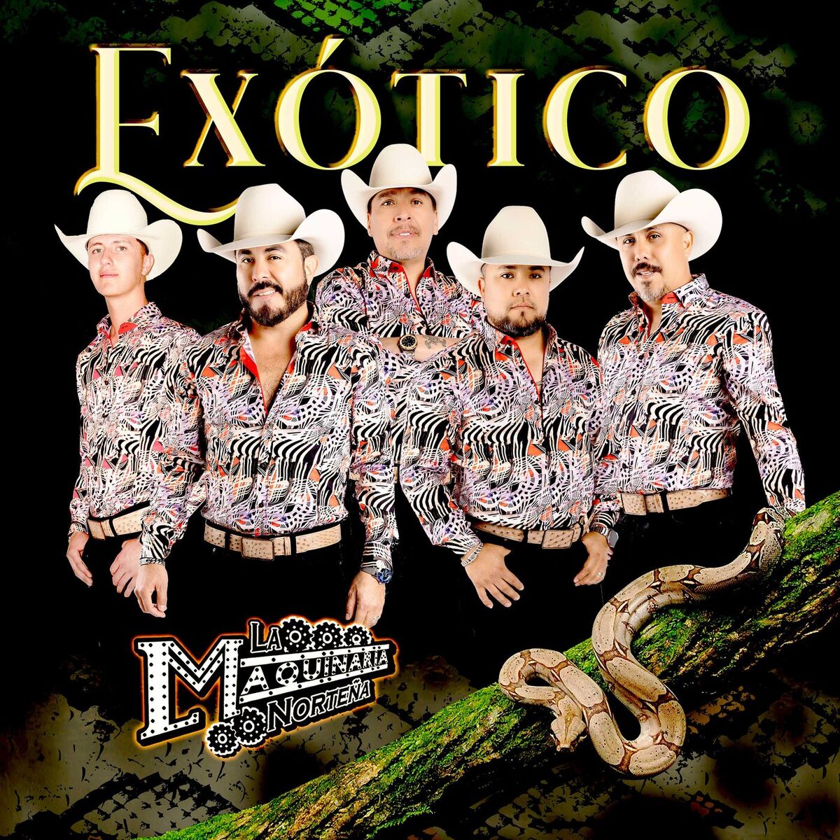 Album cover of Exótico