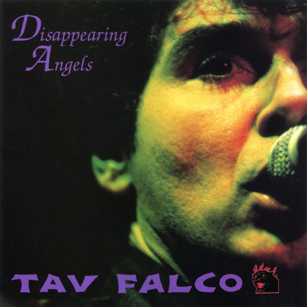 Picture of Disappearing Angels
