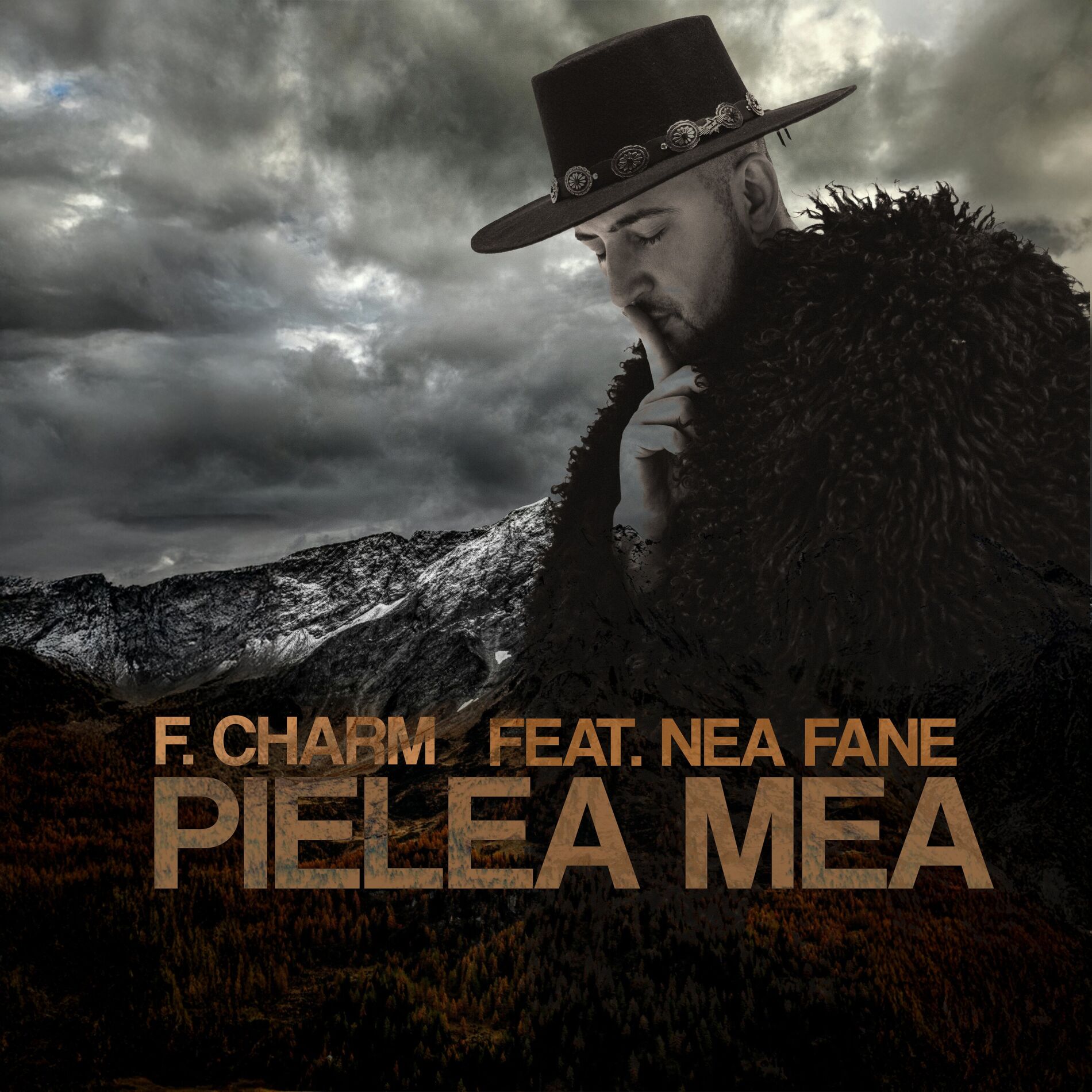Album cover of Pielea mea