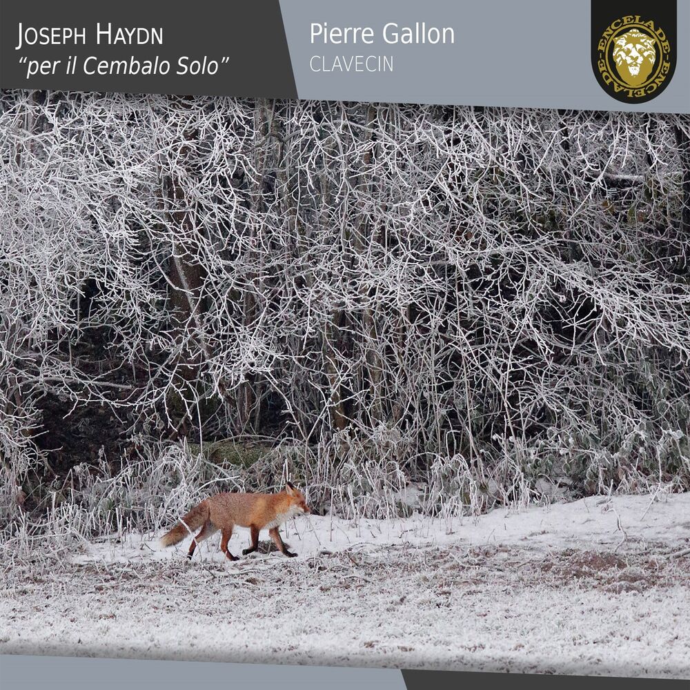 Picture of Joseph Haydn: Per il cembalo solo