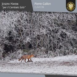 Cover of Joseph Haydn: Per il cembalo solo