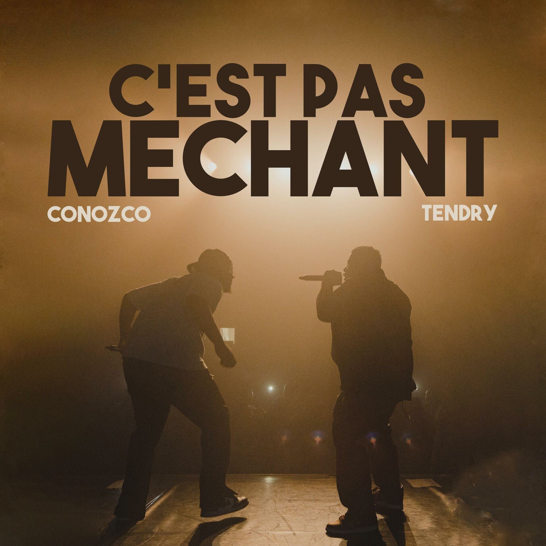 Album cover of C'est pas méchant