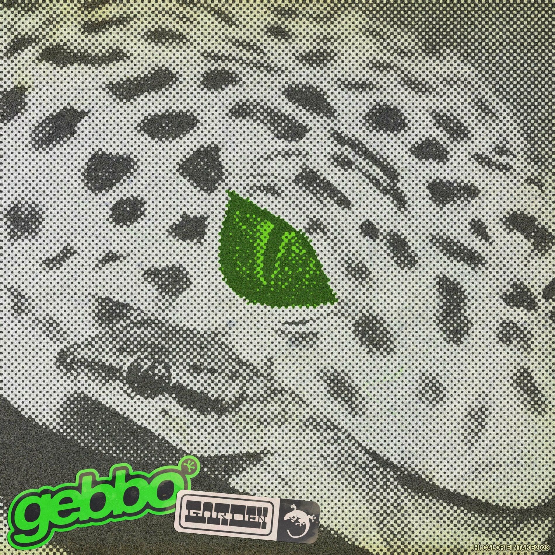 Album cover of garden