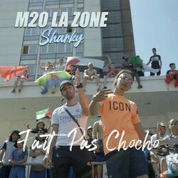 Cover of Fait Pas Chocho