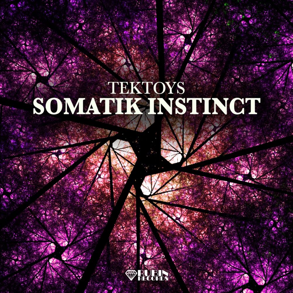 Picture of Somatik Instinct