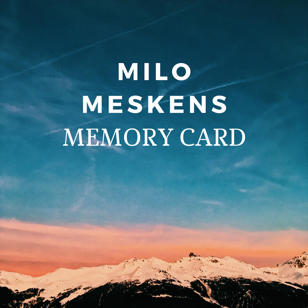 Picture of Memory Card