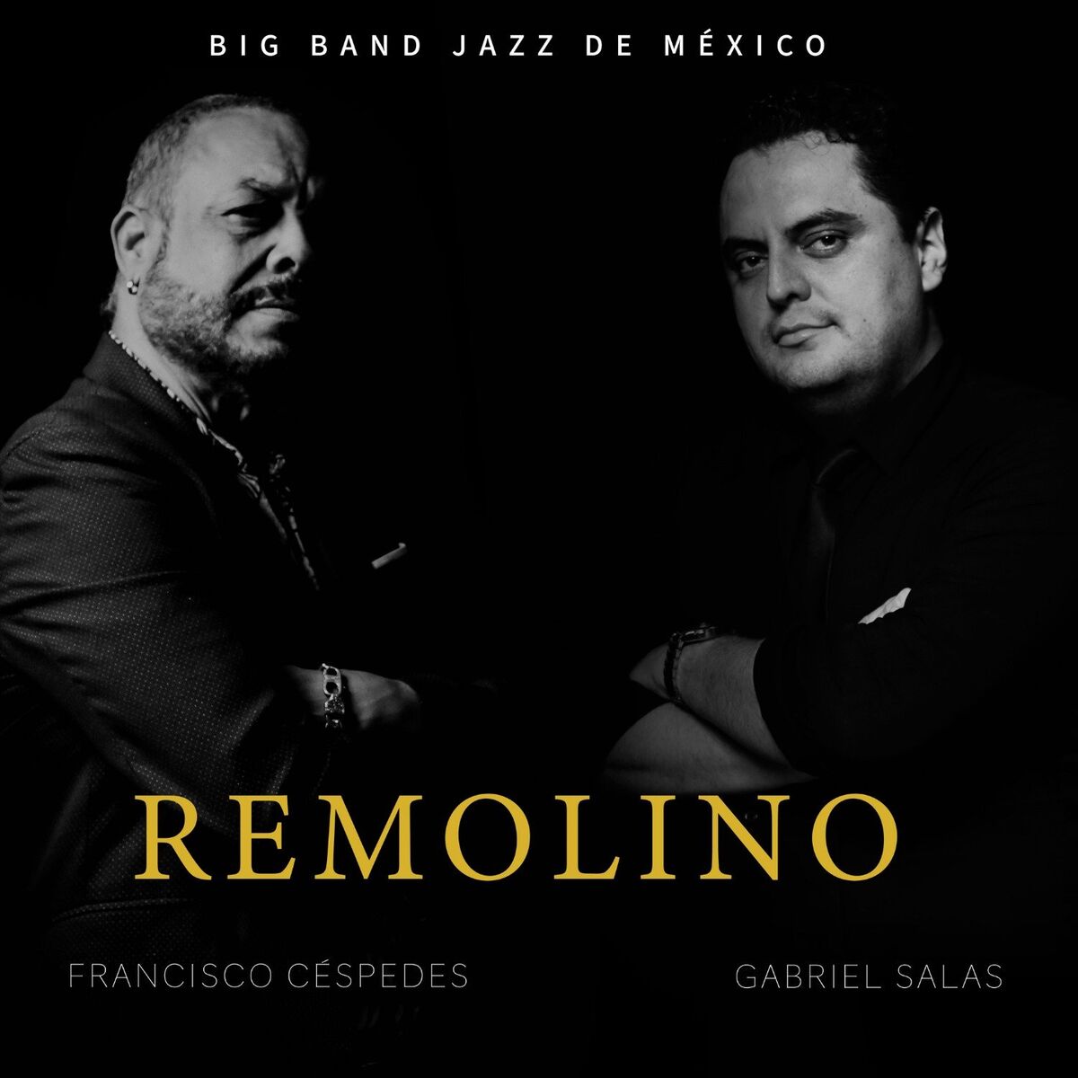 Album cover of Remolino