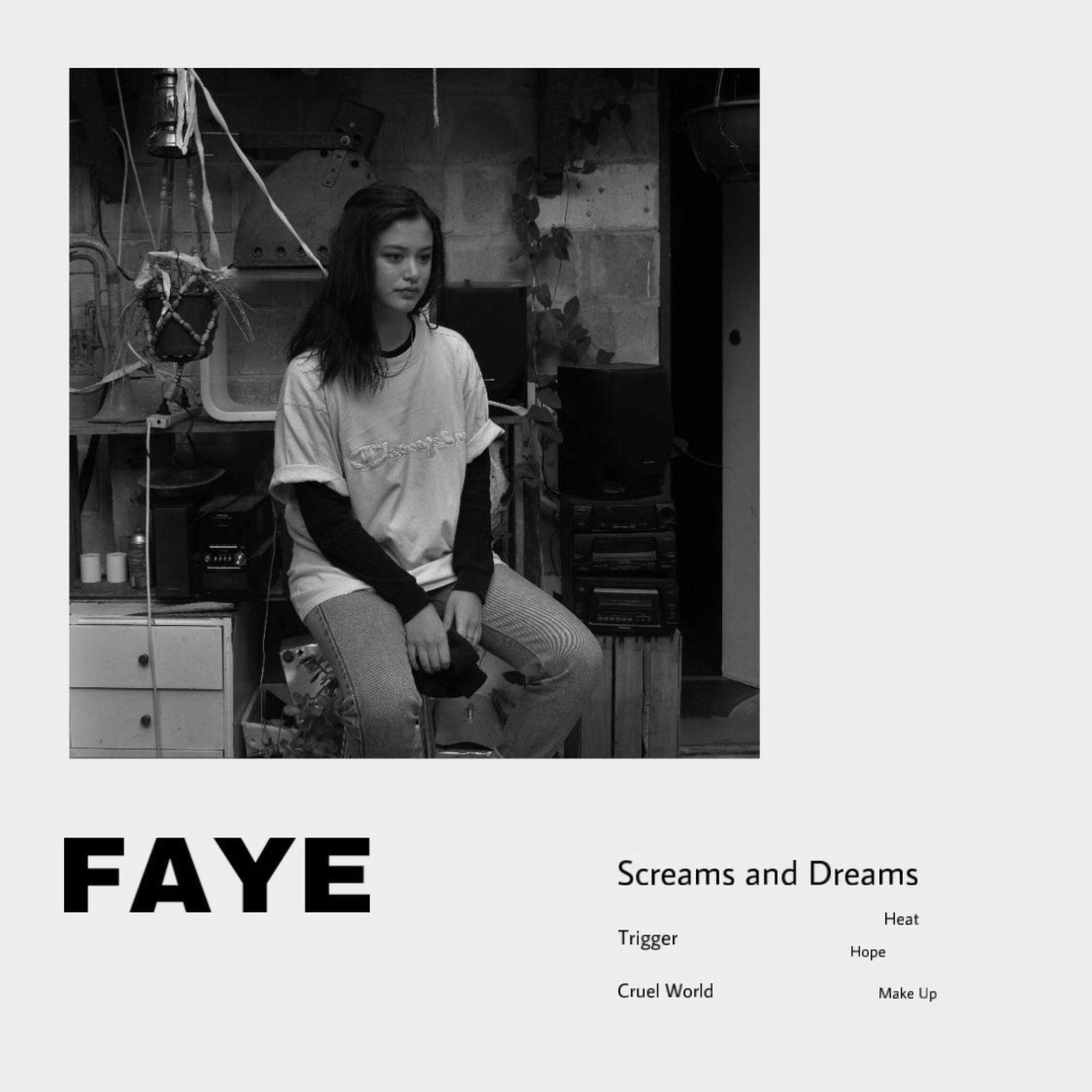 Album cover of Screams and Dreams