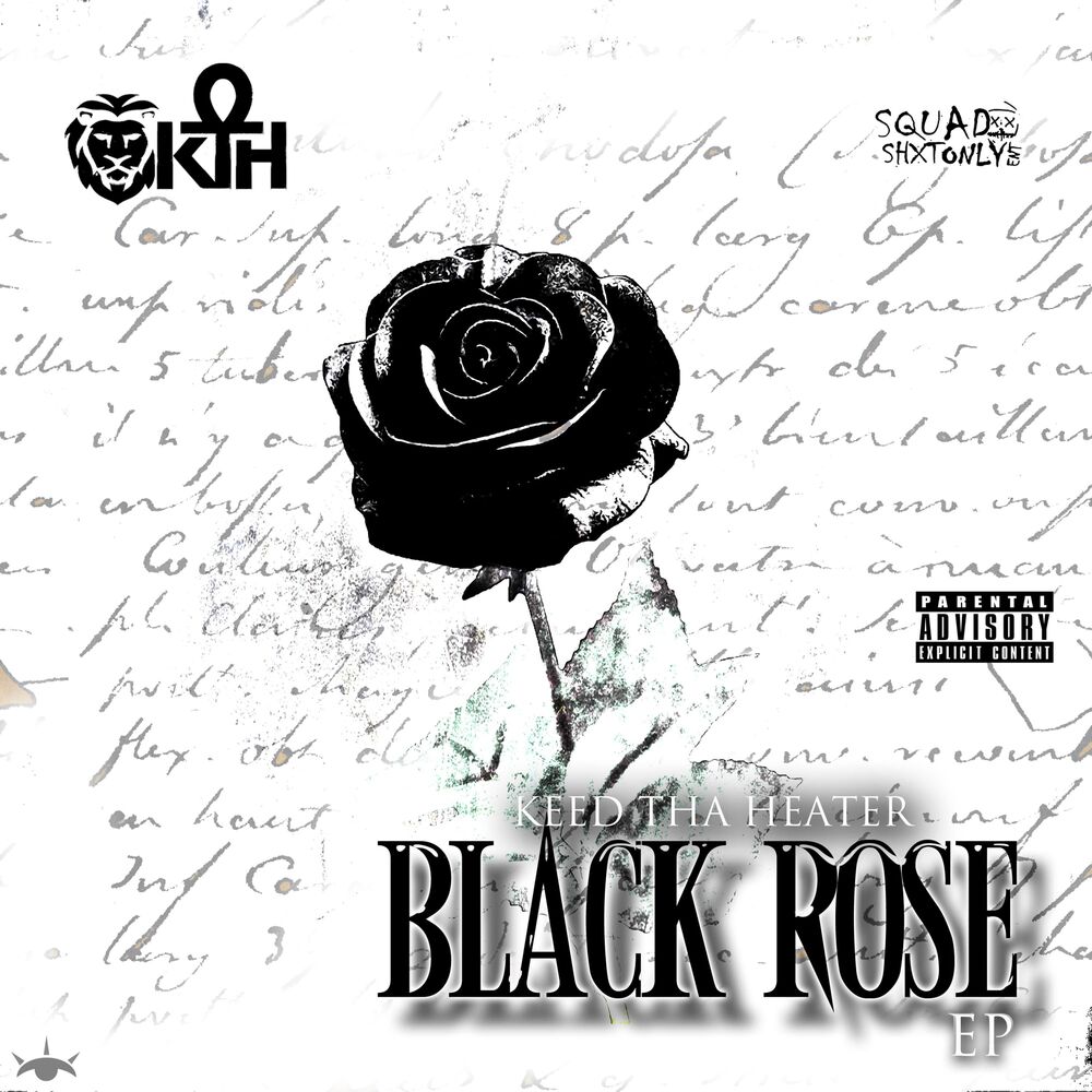 Picture of Black Rose