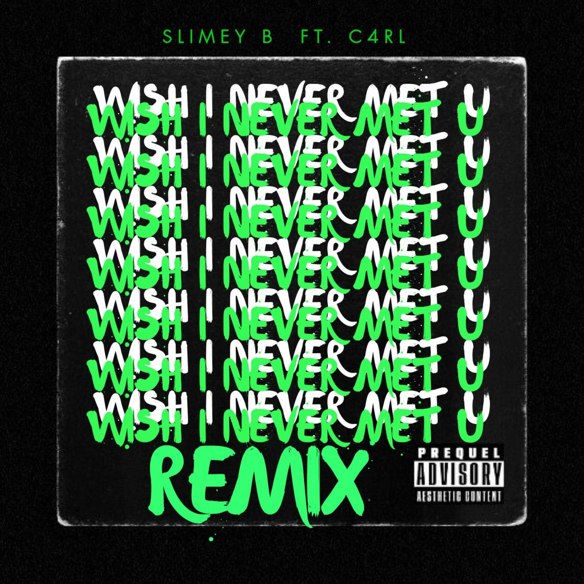 Album cover of Wish I Never Met U (feat. C4RL) [Remix]