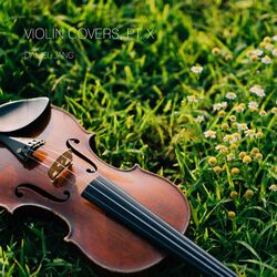 Cover of Violin Covers, Pt. X
