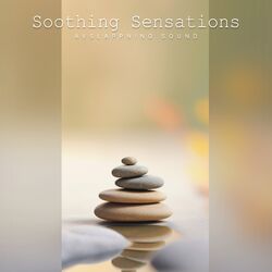 Cover of Soothing Sensations