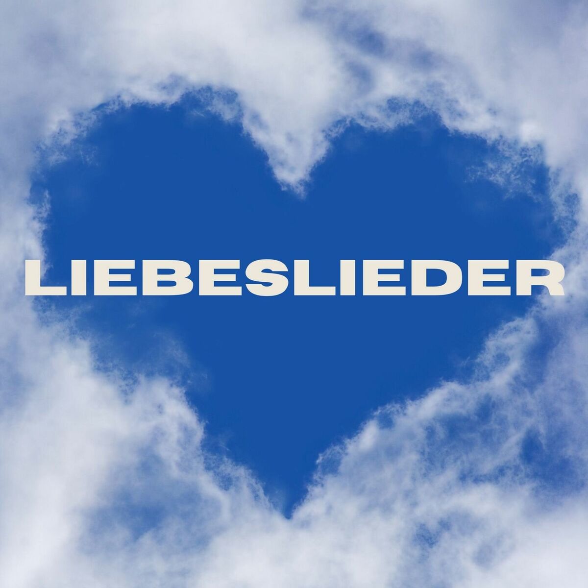 Album cover of Liebeslieder