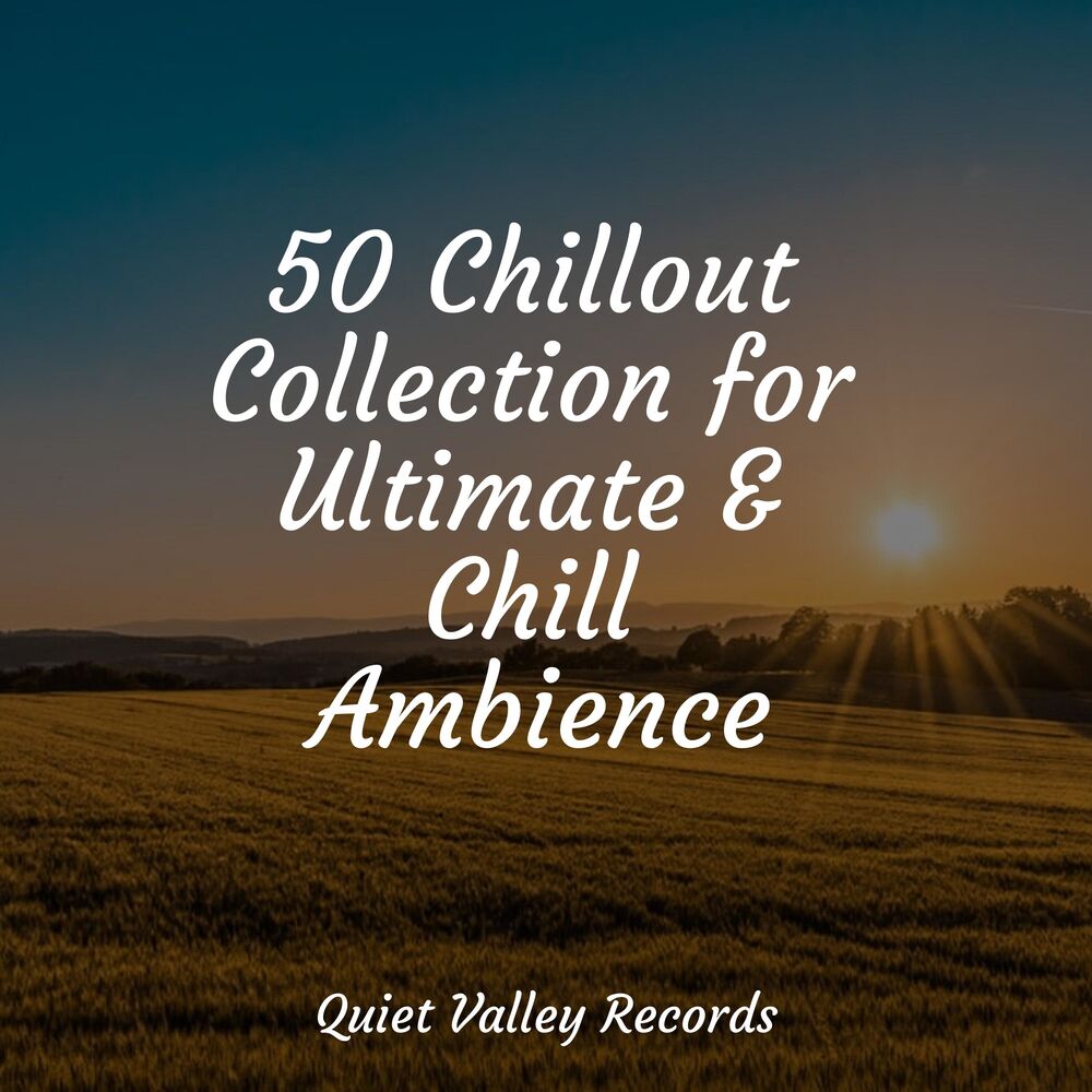 Picture of 50 Chillout Collection for Ultimate & Chill Ambience