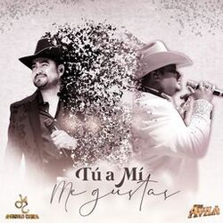 Cover of Tu A Mi Me Gustas