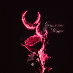 Cover of CRESCENT MOON