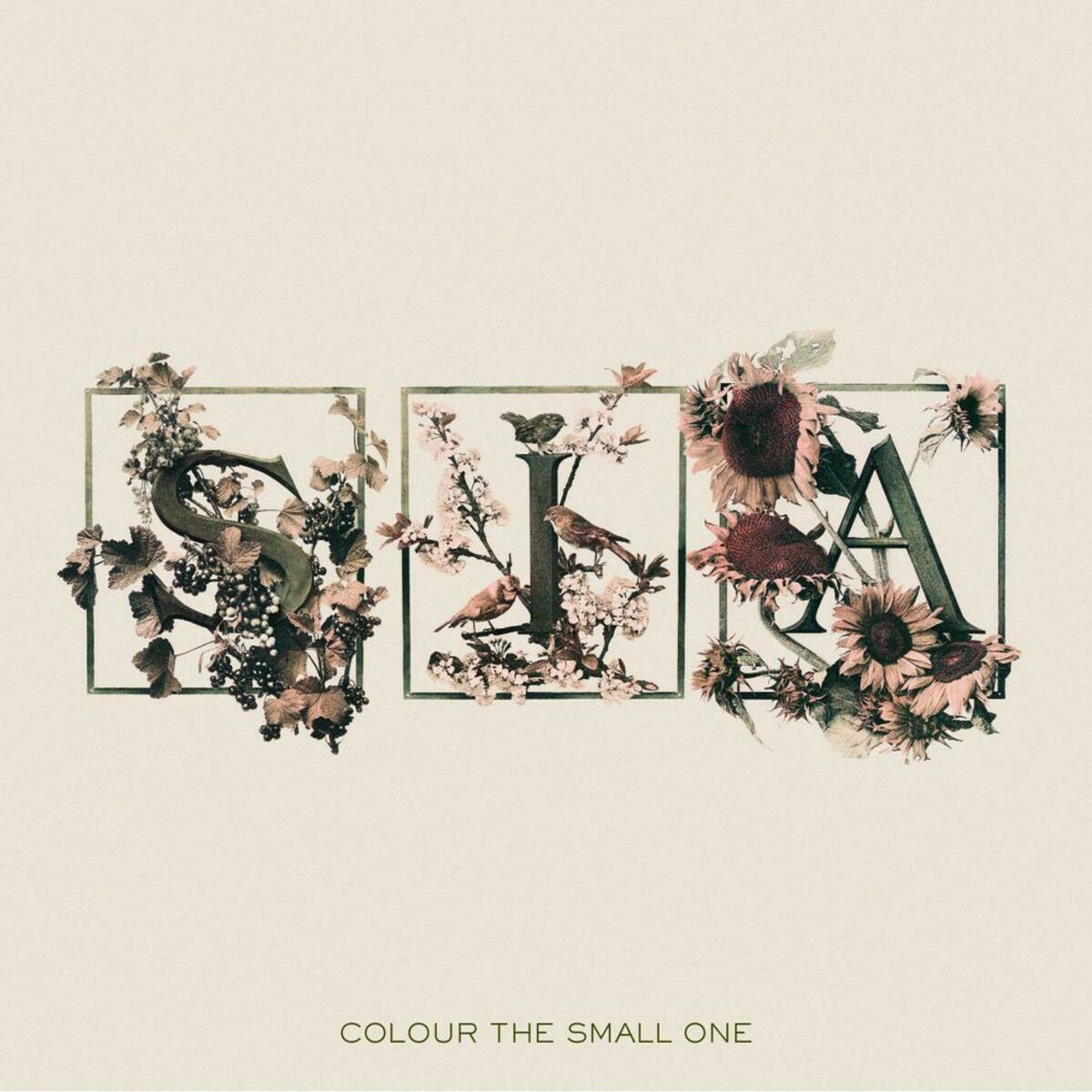 Album picture of Colour The Small One
