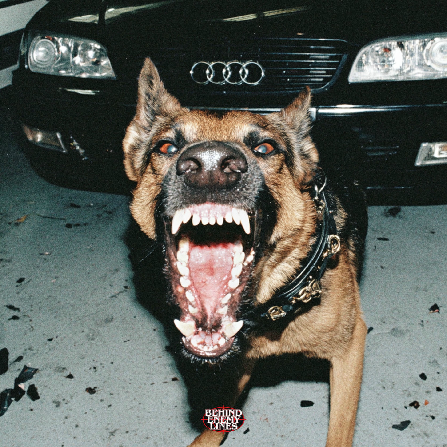 Album cover of AUDI