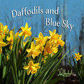 Daffodils and Blue Sky