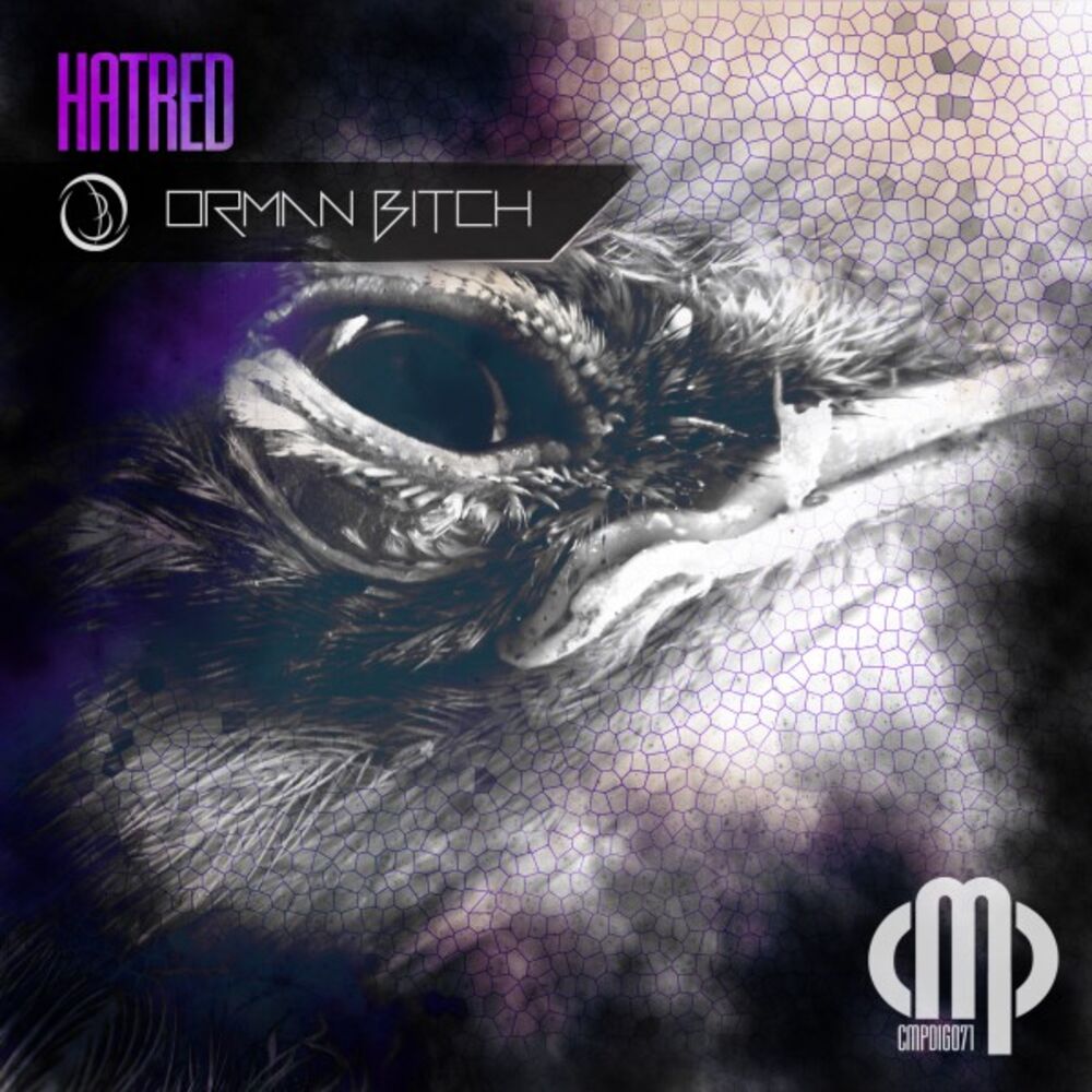 Picture of Hatred