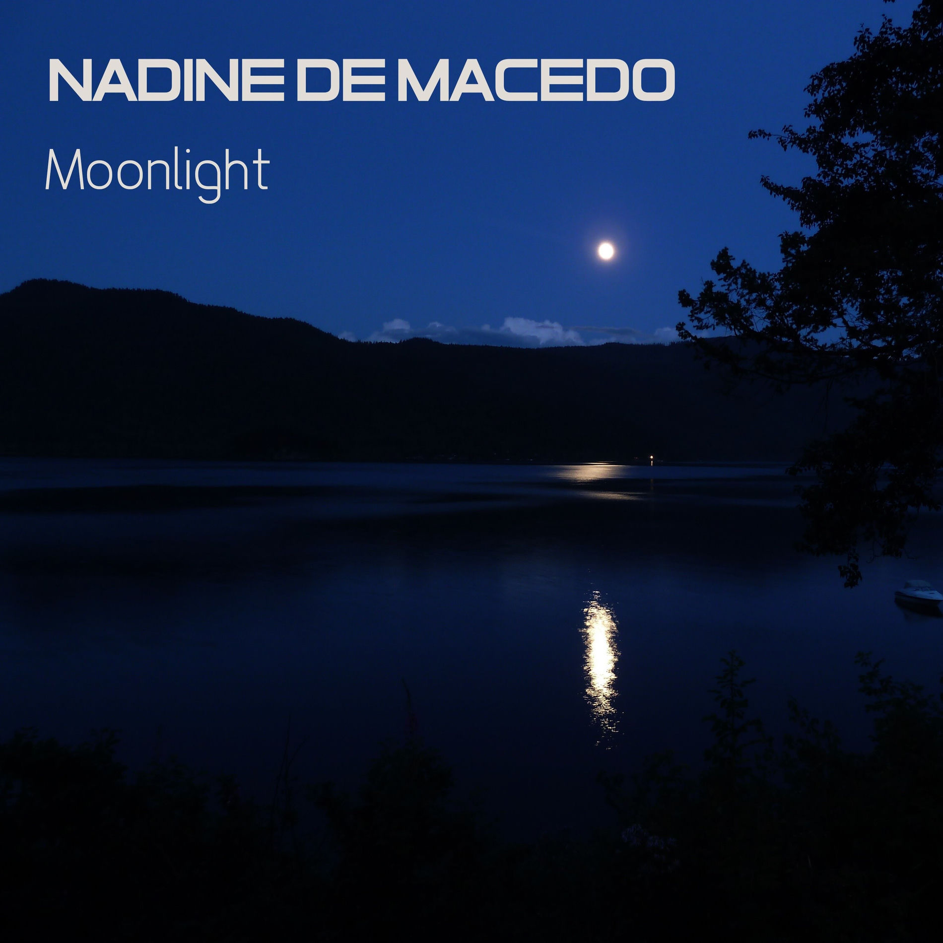 Album cover of Moonlight