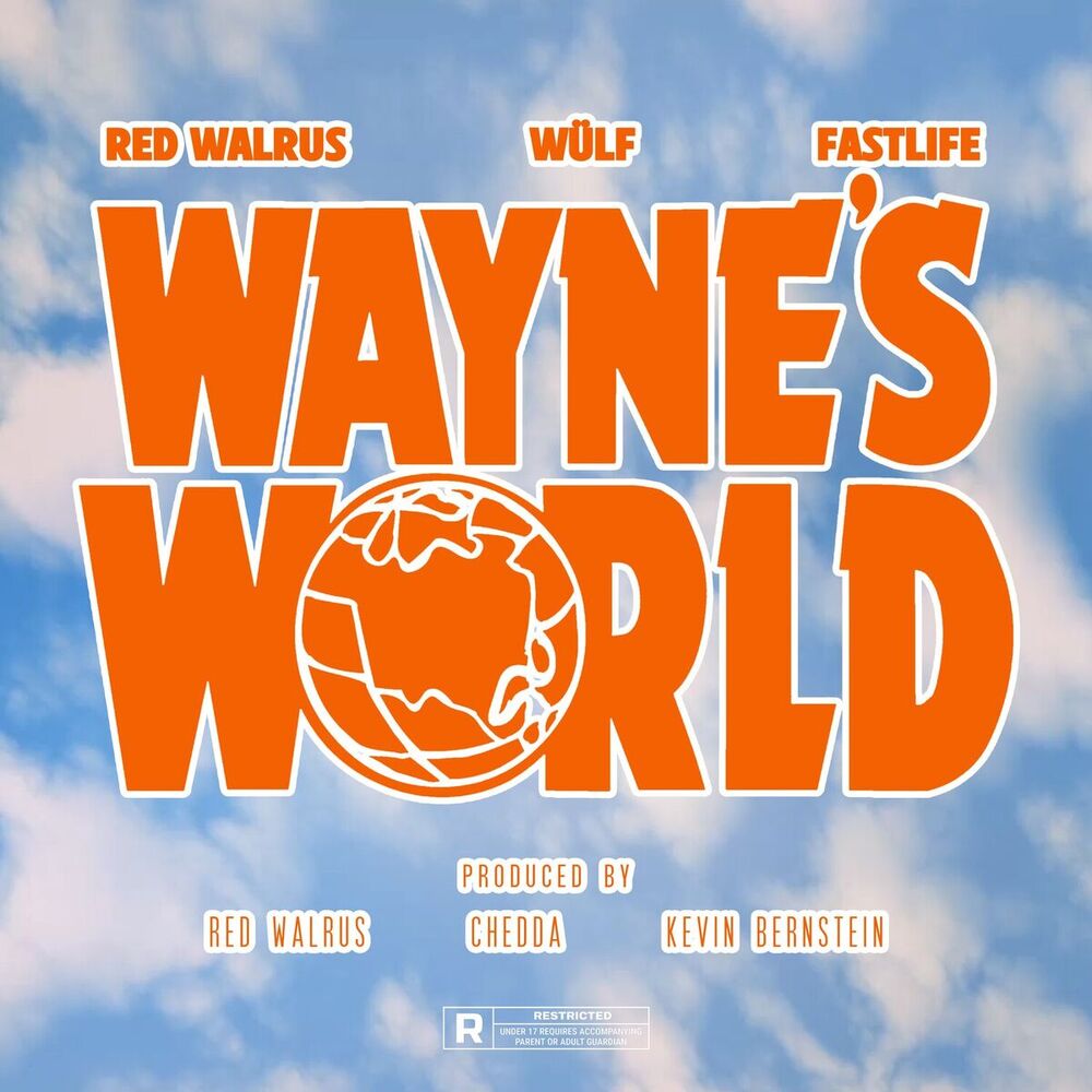 Picture of Wayne's World