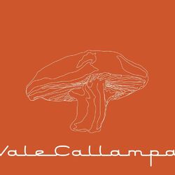 Cover of Vale Callampa