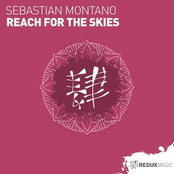 Cover of Reach For The Skies