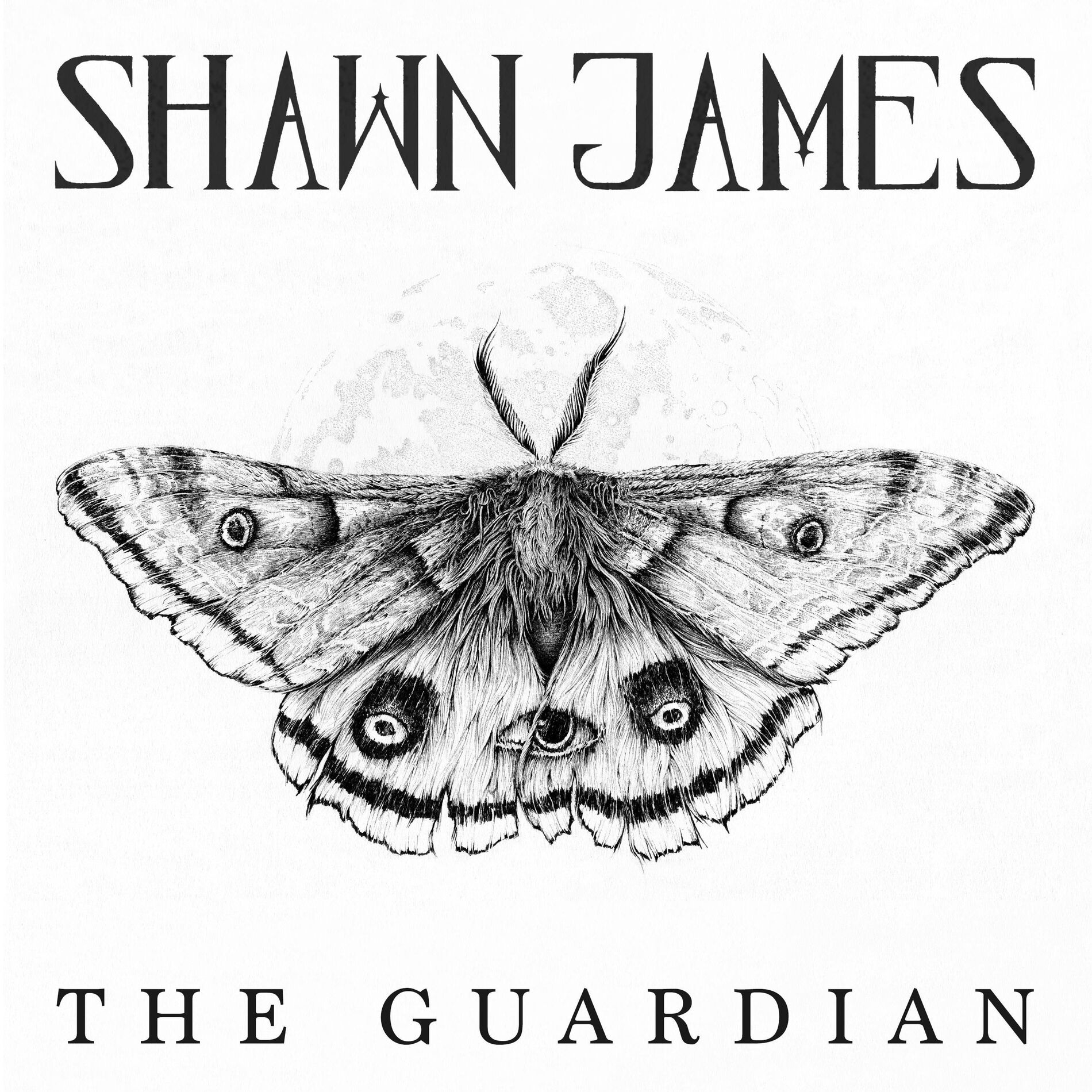 Album cover of The Guardian (Ellie's Song)