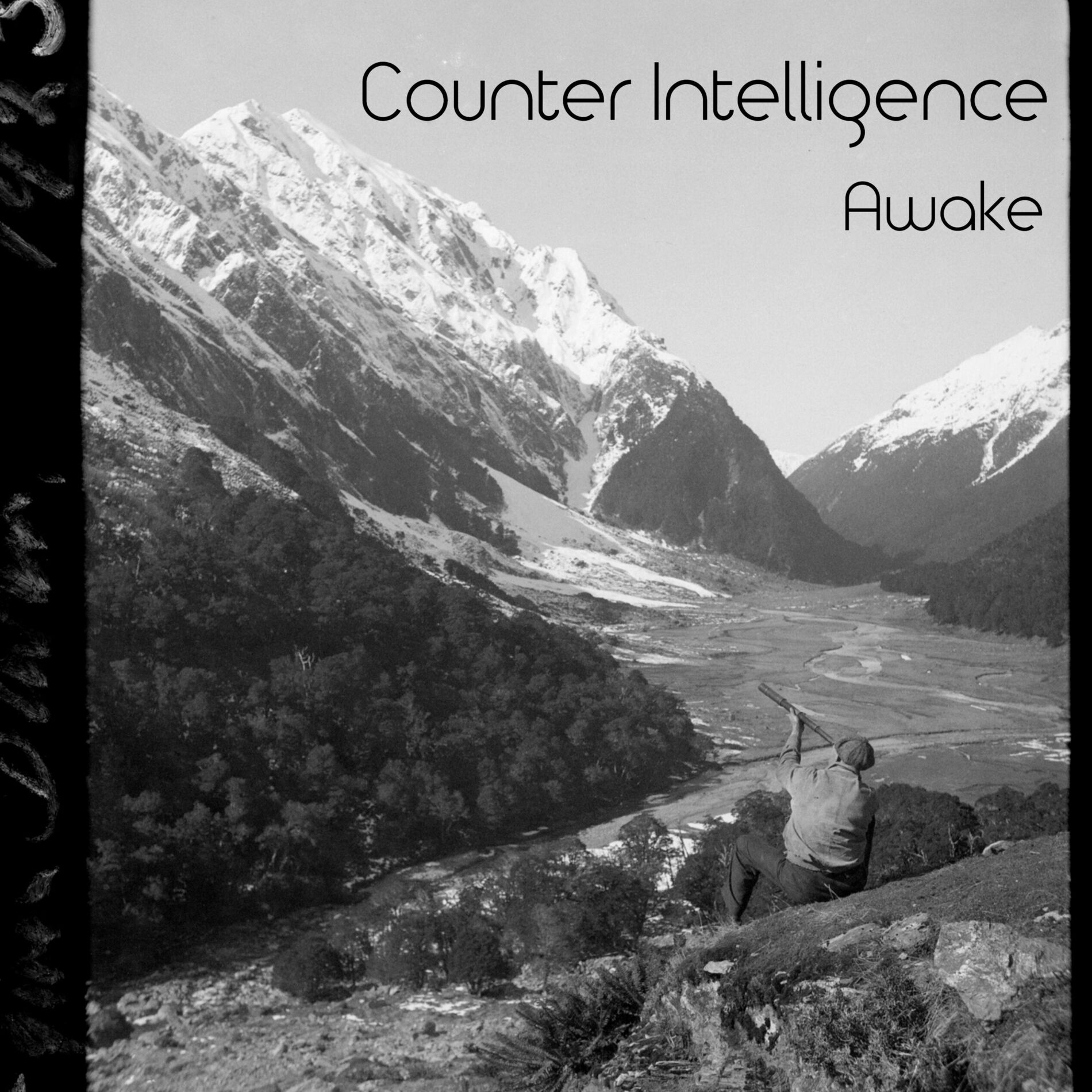 Album cover of Awake