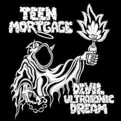Cover of Devil Ultrasonic Dream