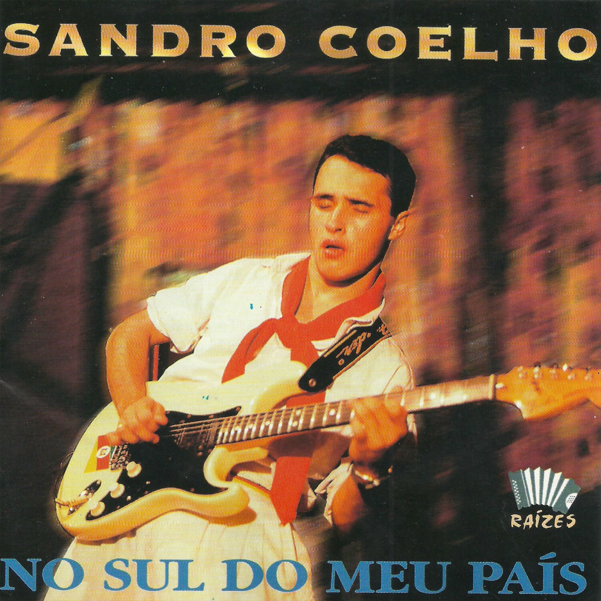 Album cover of No Sul do Meu País