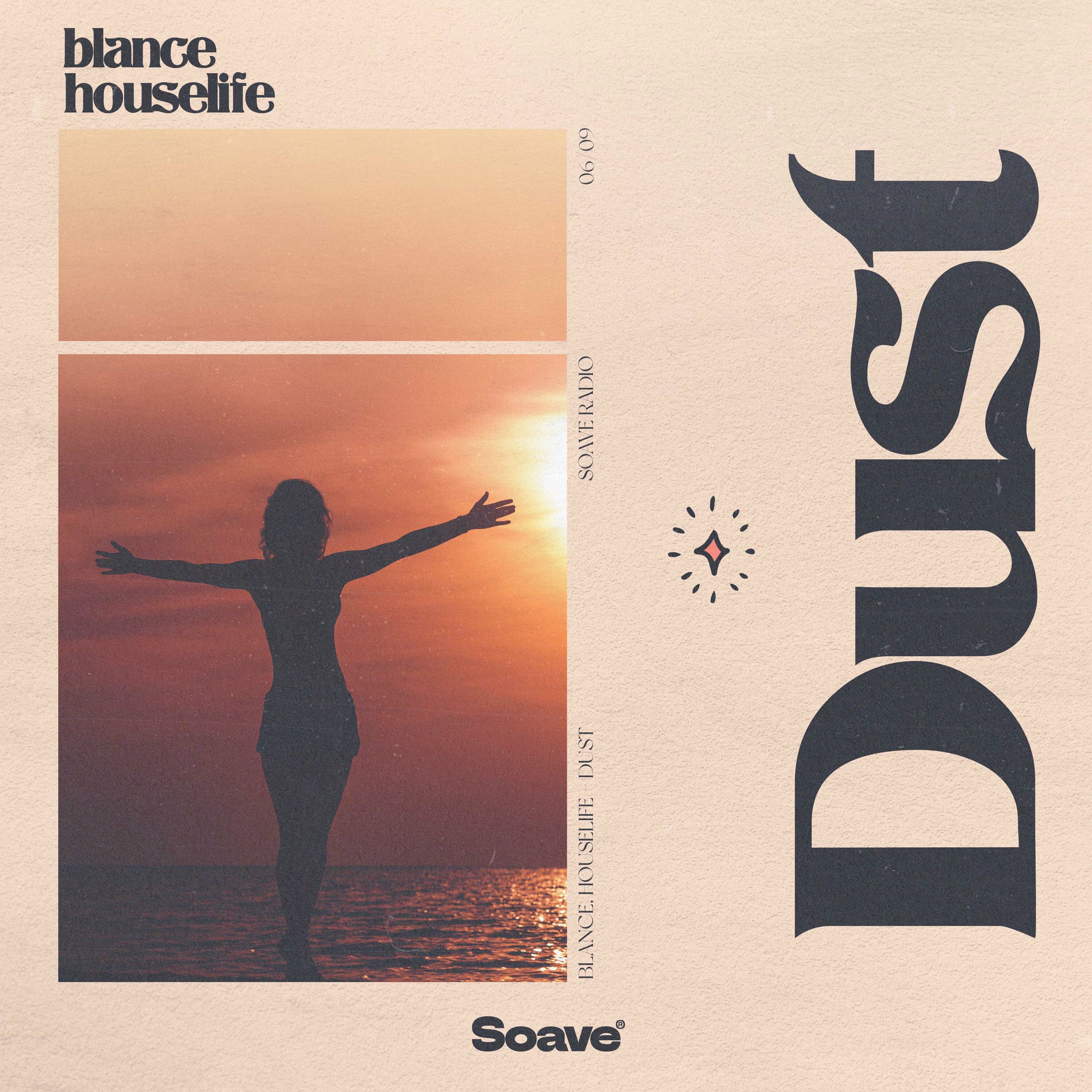 Album cover of Dust