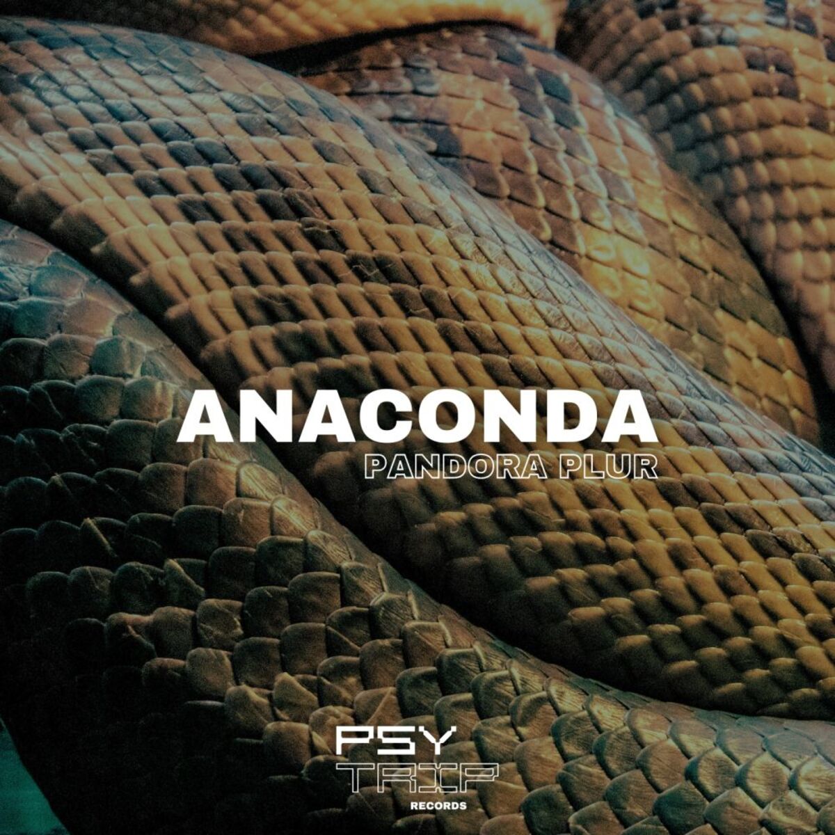 Album cover of Anaconda