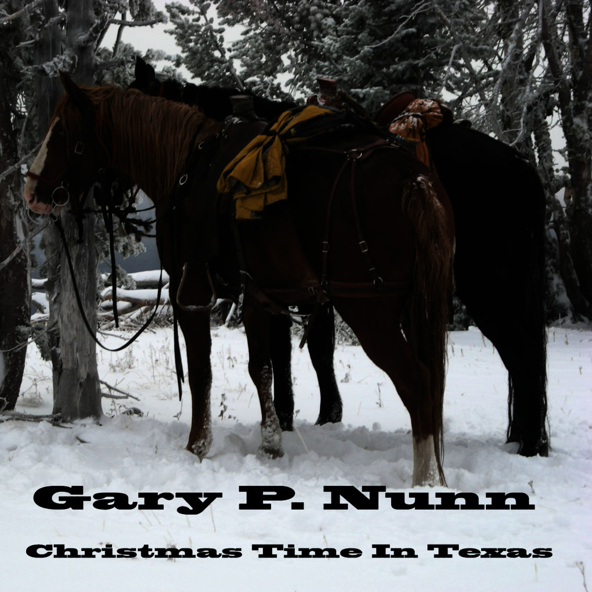 Album cover of Christmas Time In Texas