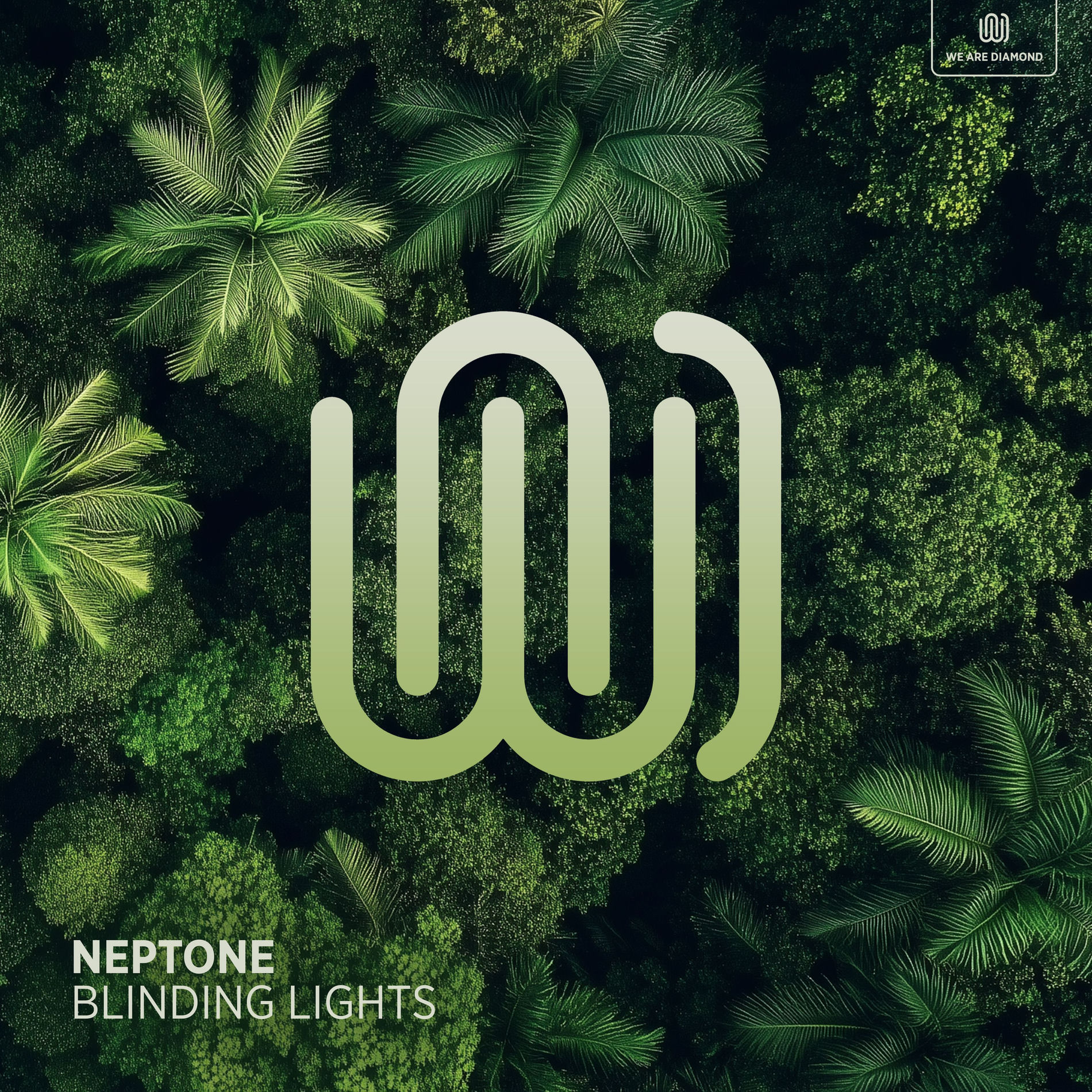 Album cover of Blinding Lights
